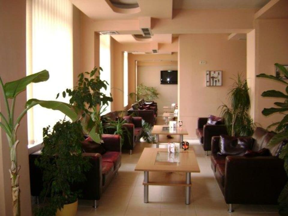Lobby bar with 25 seats Hotel Intelcoop