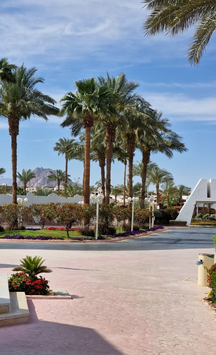 Gartenanlage Ghazala Gardens