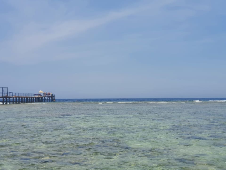Strand Pickalbatros Oasis Hotel - Port Ghalib