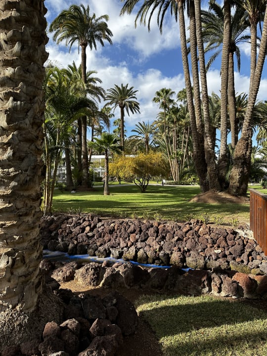 Gartenanlage Hotel Riu Palace Oasis