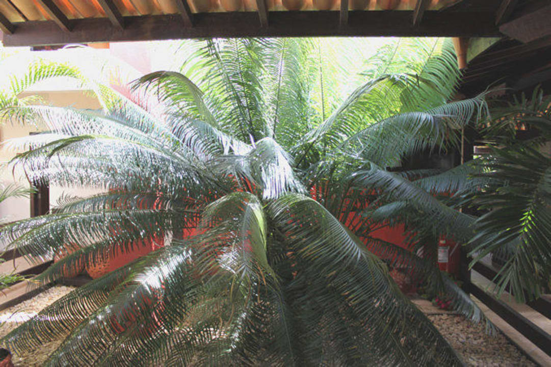 Innenhof Hotel Porto Zarpa