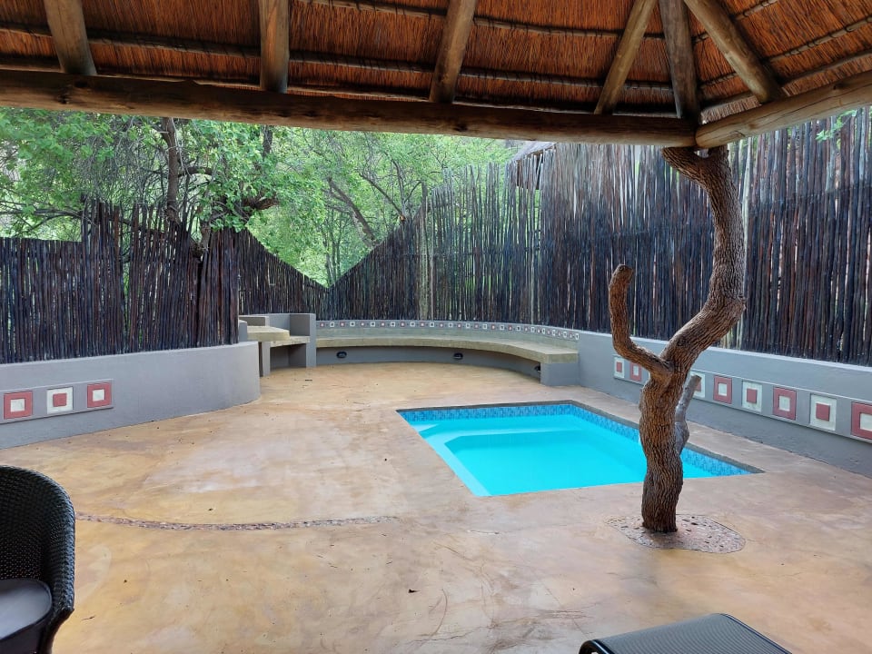 Gartenanlage Hotel Ivory Tree Game Lodge