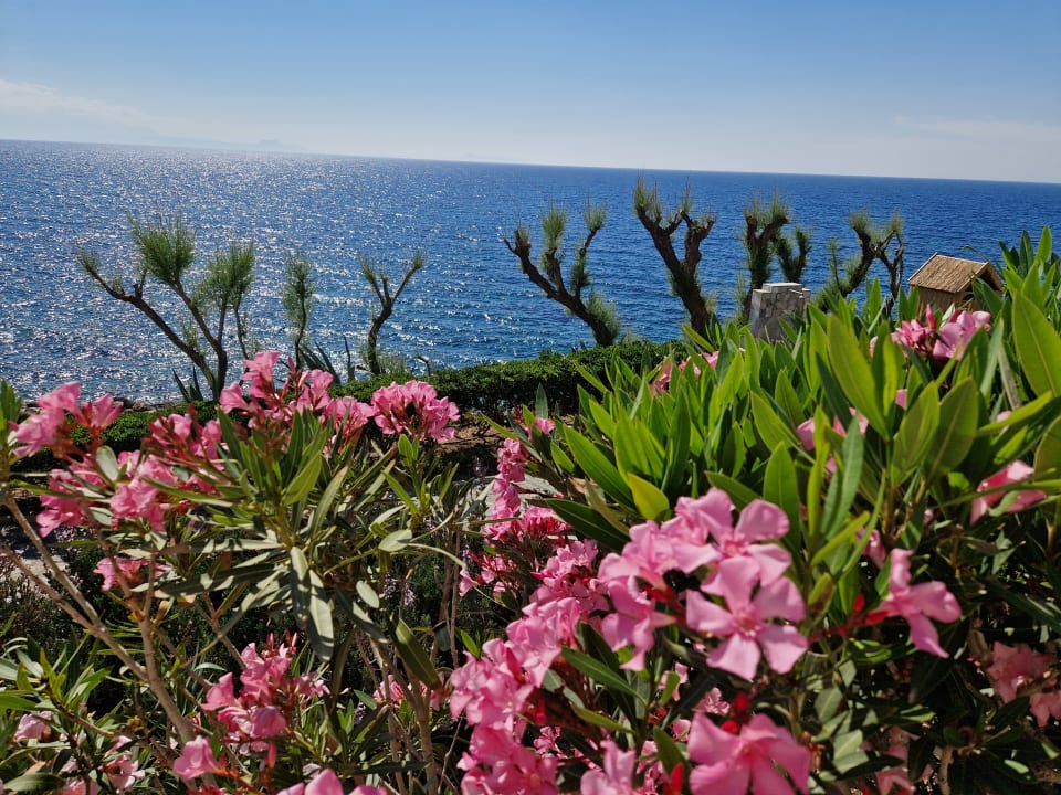 Gartenanlage Iberostar Waves Creta Panorama & Mare
