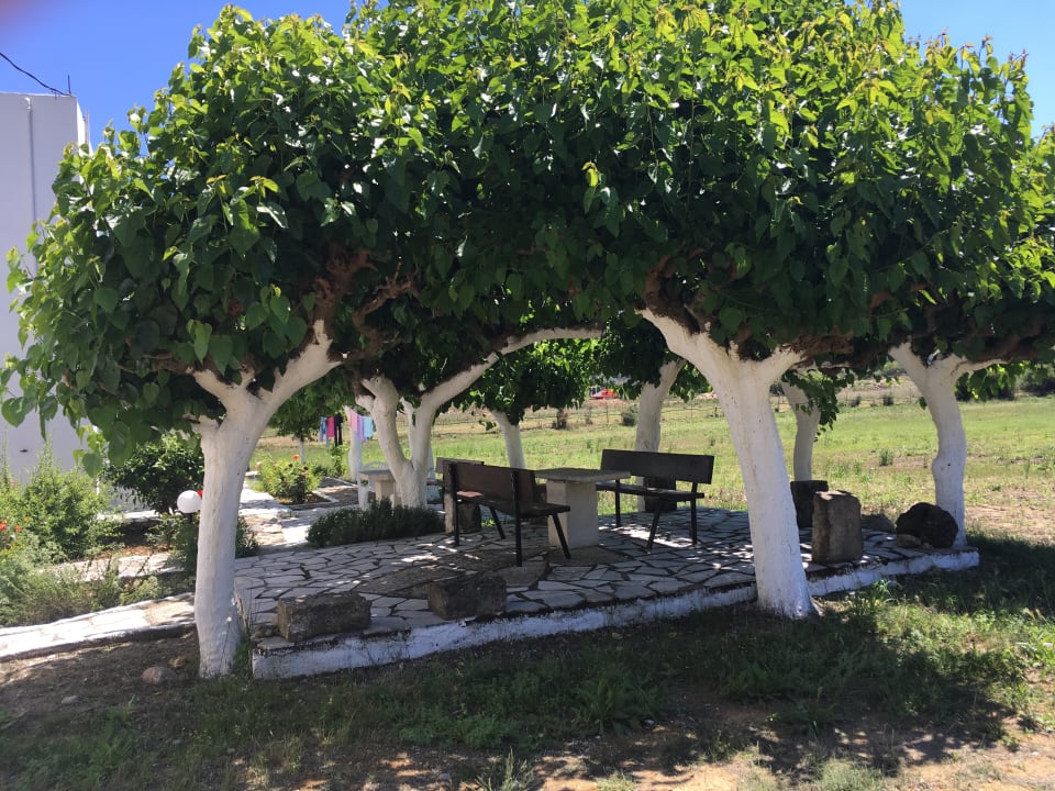 Sonstiges Anemos Luxury Grand Resort