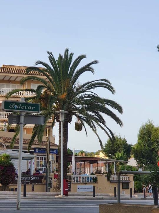 Ausblick allsun Hotel Bella Paguera