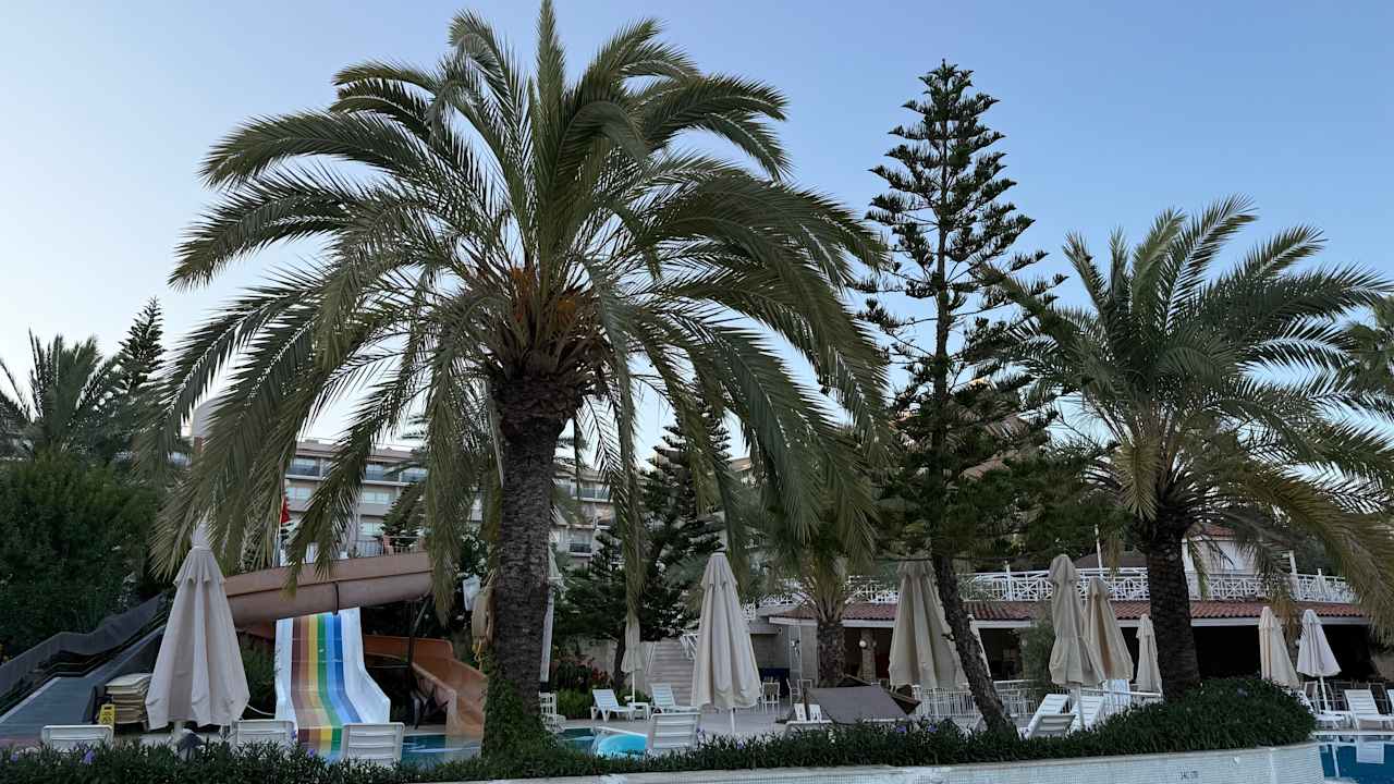 Pool Seaden Corolla Hotel