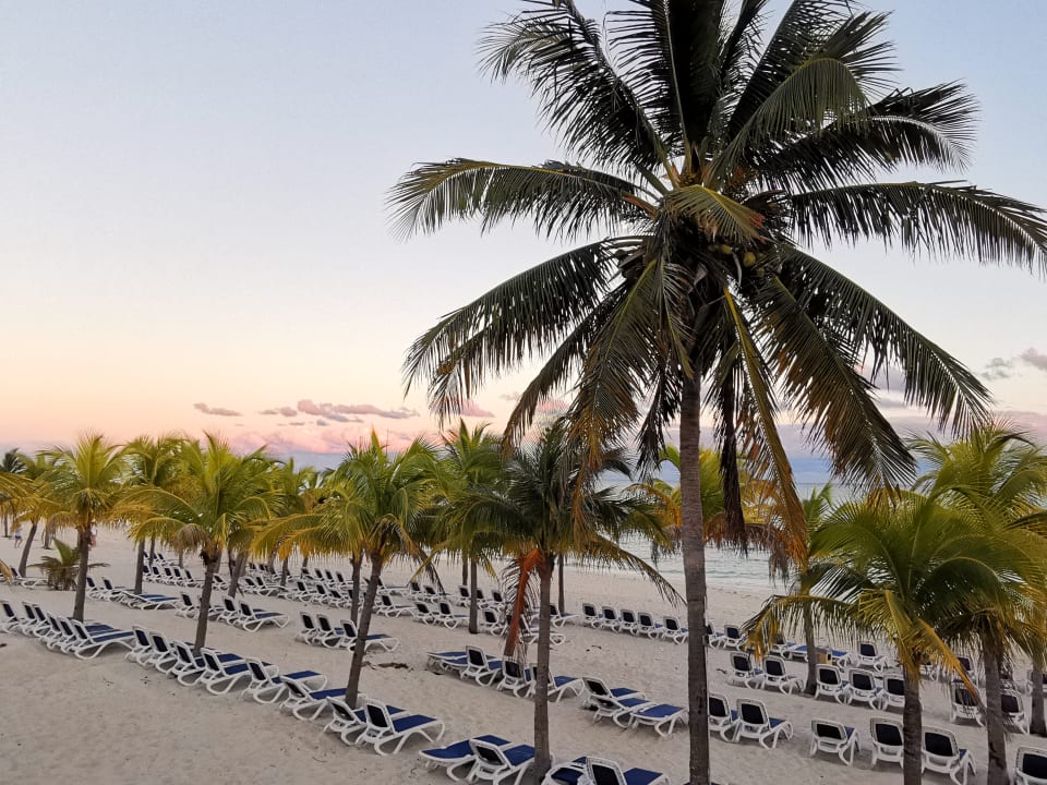 Ausblick Viva Fortuna Beach by Wyndham - All Inclusive Resort