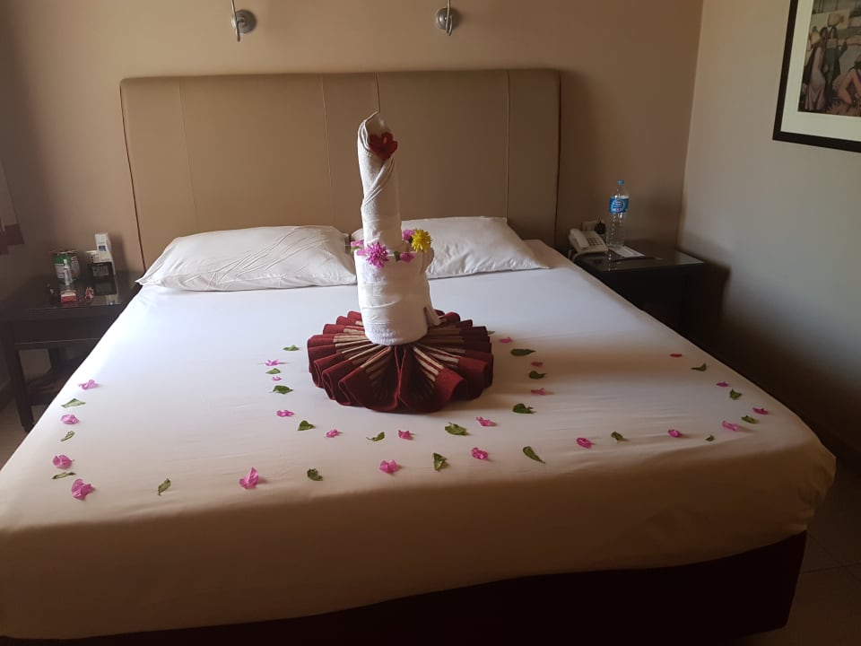 Zimmer Jaz Makadi Oasis Resort