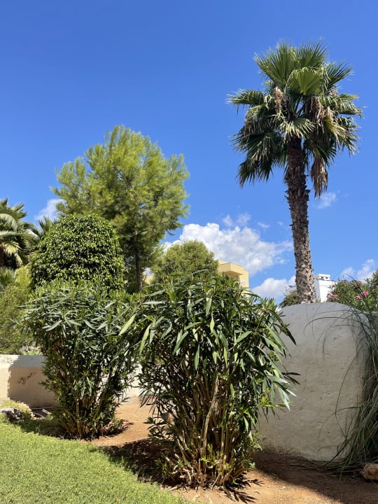 Gartenanlage Club Can Bossa