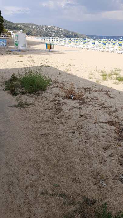 Gastro Hotel Borjana