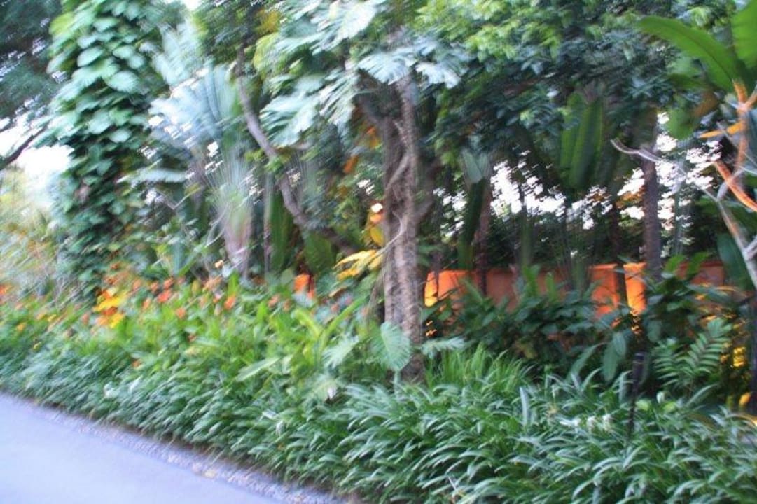 Grün Anantara Bophut Koh Samui Resort