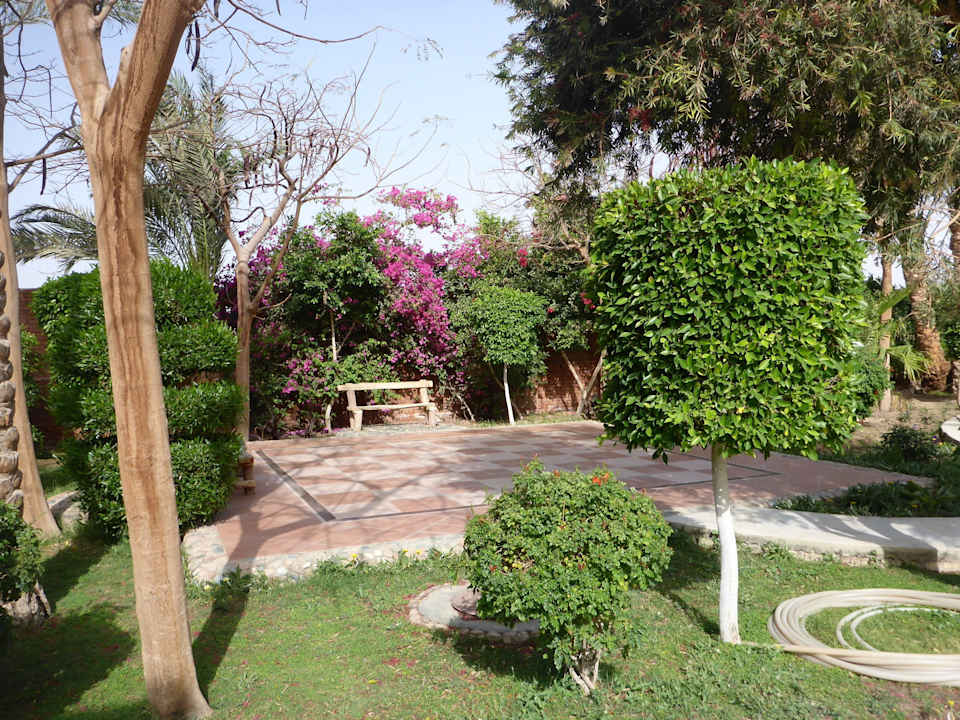 Ruheplatz Shams Alam Beach Resort