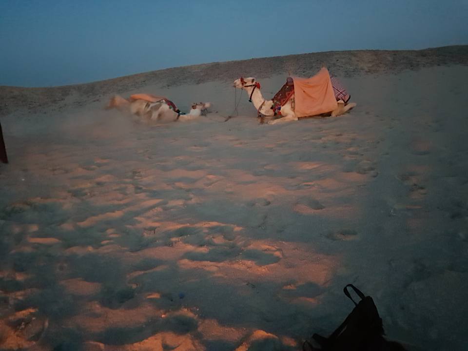 Sonstiges Pickalbatros Alf Leila Wa Leila Resort - Neverland Hurghada