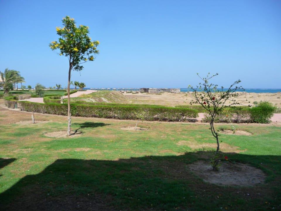 Aussicht vom Zimmer Lahami Bay Beach Resort