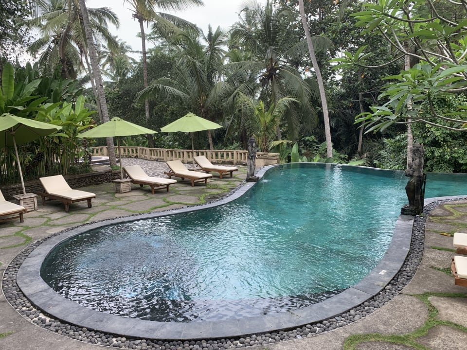 Pool Atta Mesari Ubud
