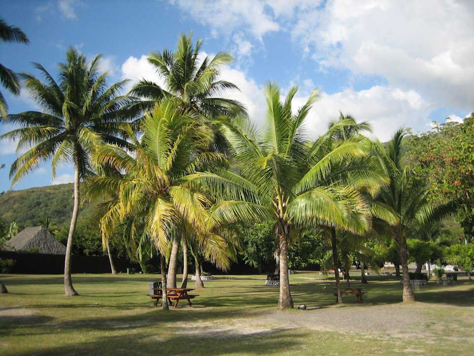 Park in 250 m Entfernung zur Pension Le Relais Fenua
