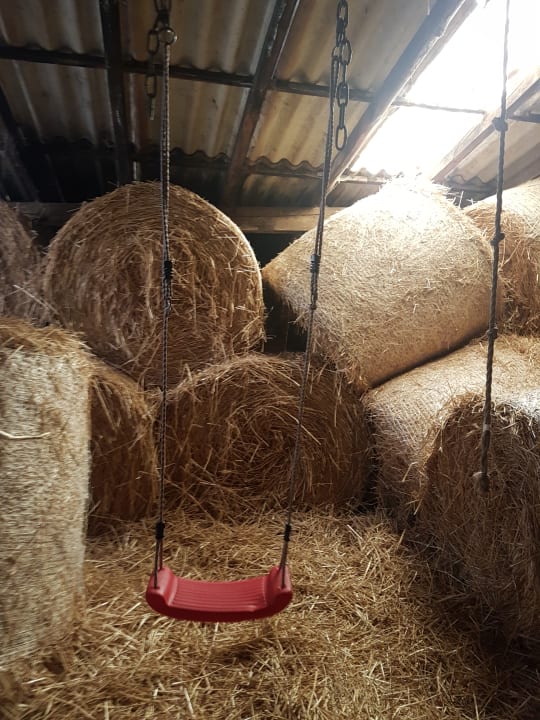 Sport & Freizeit Ferienhof Dingeldey