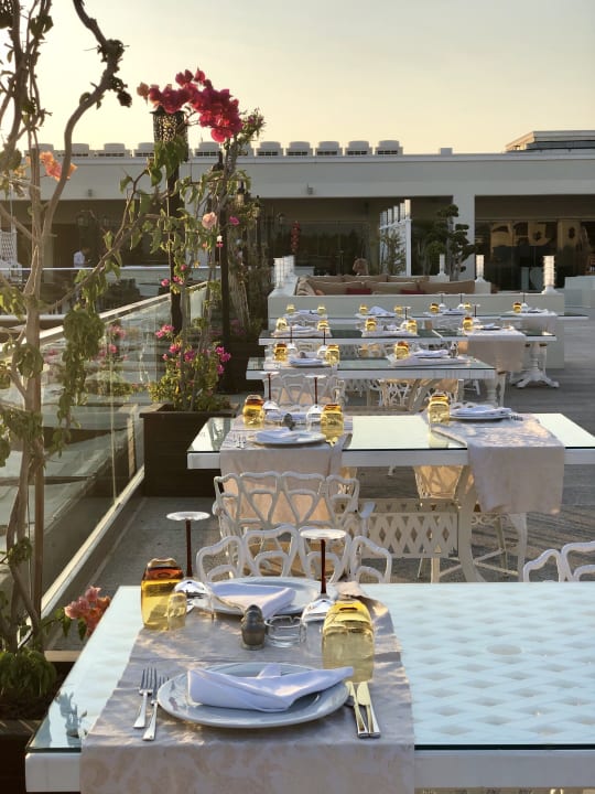 Gastro Paloma Oceana