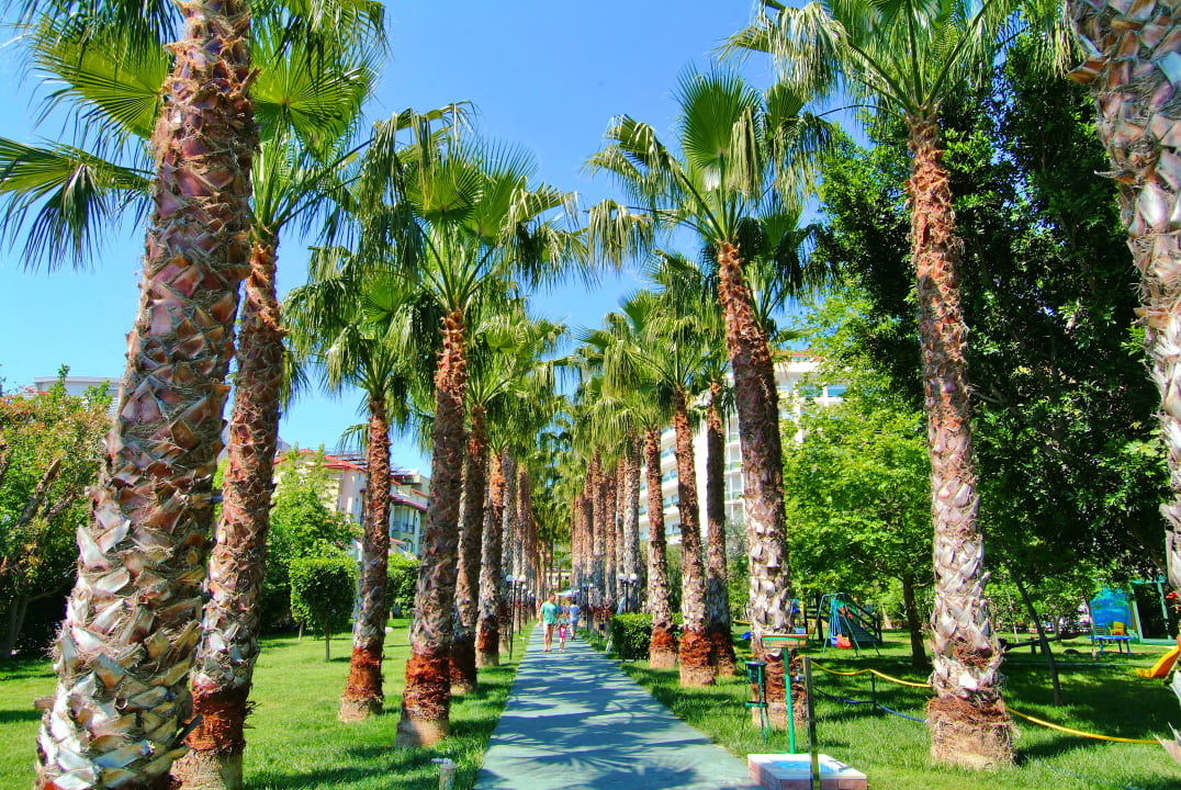Gartenanlage Hotel Gardenia Beach