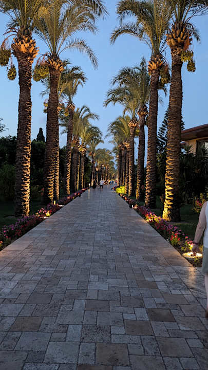 Gartenanlage TUI BLUE Palm Garden
