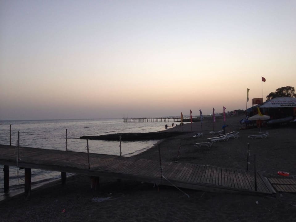 Strand Dizalya Palm Garden