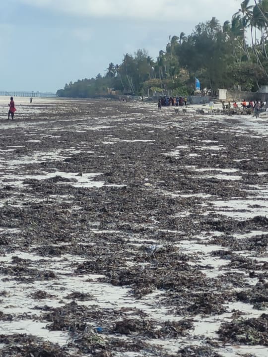 Strand TUI Blue Bahari Zanzibar
