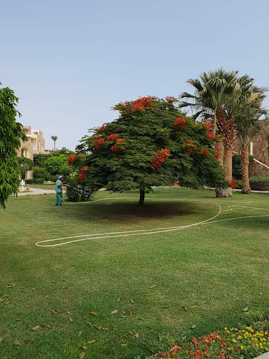 Gartenanlage Brayka Bay Resort