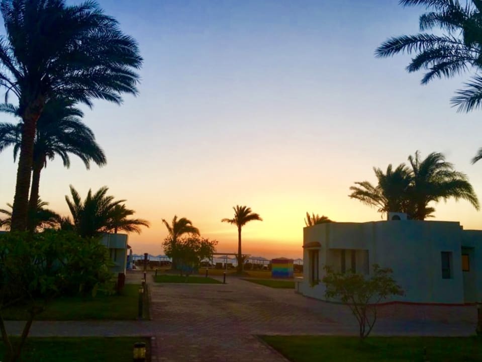 Ausblick Pharaoh Azur Resort