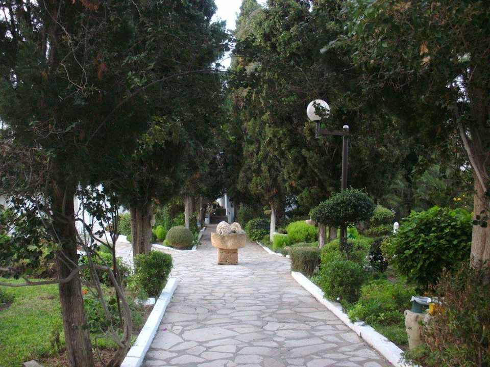 Weg zum Haupthaus The Orangers Beach Resort and Bungalows