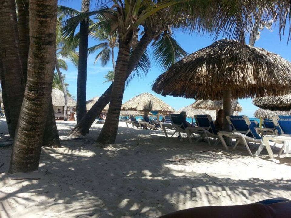 Es waren alle sehr nett und freundlich Catalonia Playa Maroma