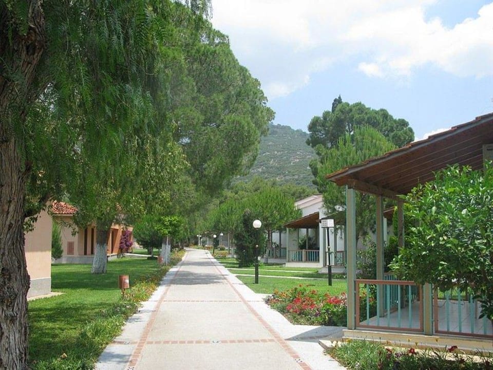 Дорога из ресторана Kustur Club Holiday Village