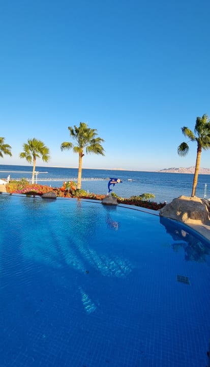 Ausblick Pickalbatros Palace Resort