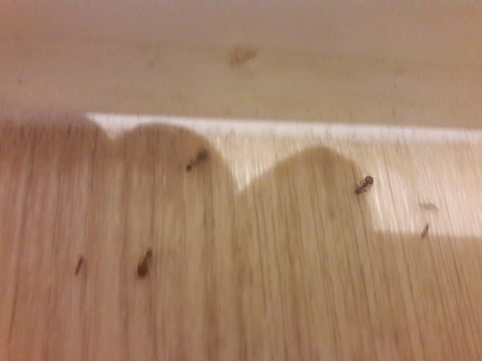 Zimmer HOVIMA La Pinta Beachfront Family Hotel