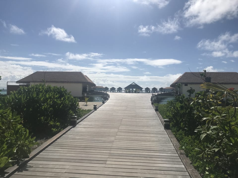 Zimmer Cinnamon Velifushi Maldives - Free One-Way Speedboat and 02 Kids Under 12 Stay & Dine Free
