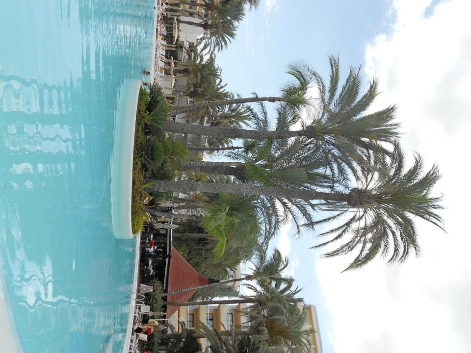 Piscine Hotel Riu Palace Palmeras