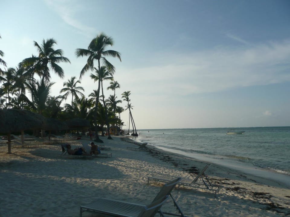 Nachmittag am Strand Catalonia Royal Bavaro - Adults only