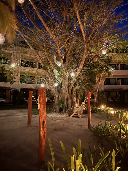 Gartenanlage Akumal Bay Beach & Wellness Resort
