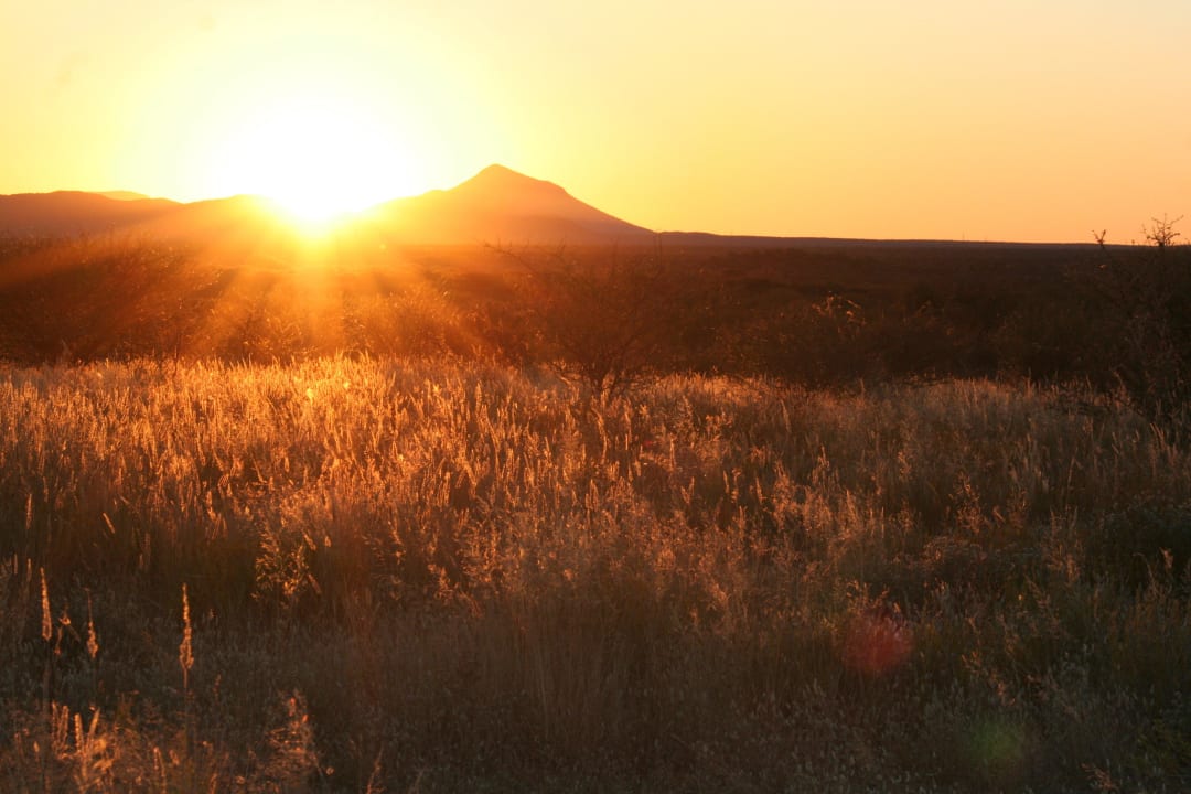 Sonnenuntergang während des Game Drive Onduruquea Guestfarm