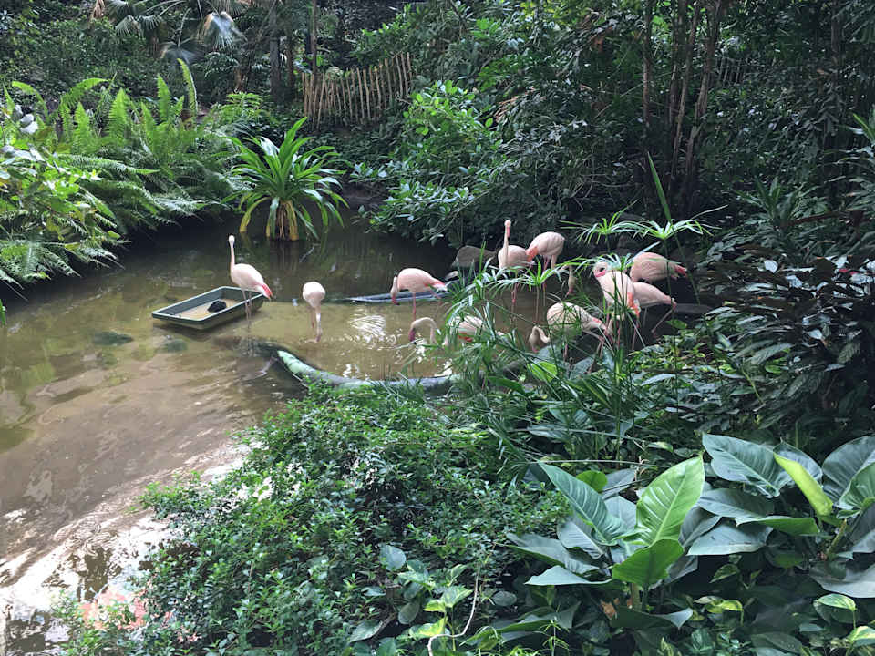 Gartenanlage Tropical Islands Resort