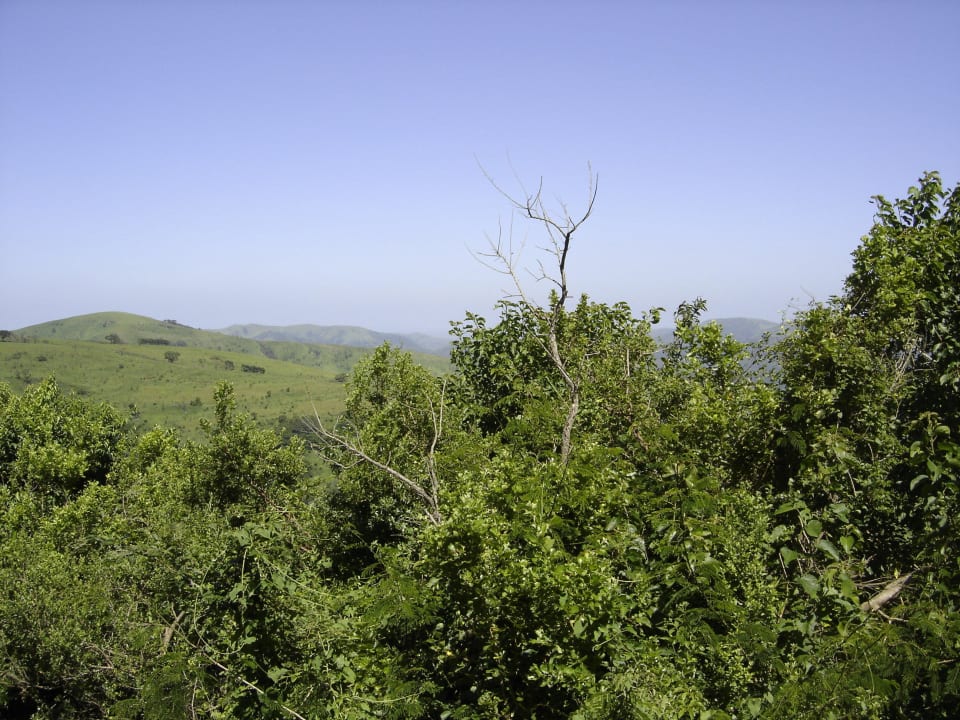 Blick von der Veranda. Hotel Hluhluwe Umfolozi Hilltop Camp