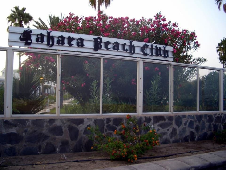 Hotel Sahara Beach Sahara Beach Club