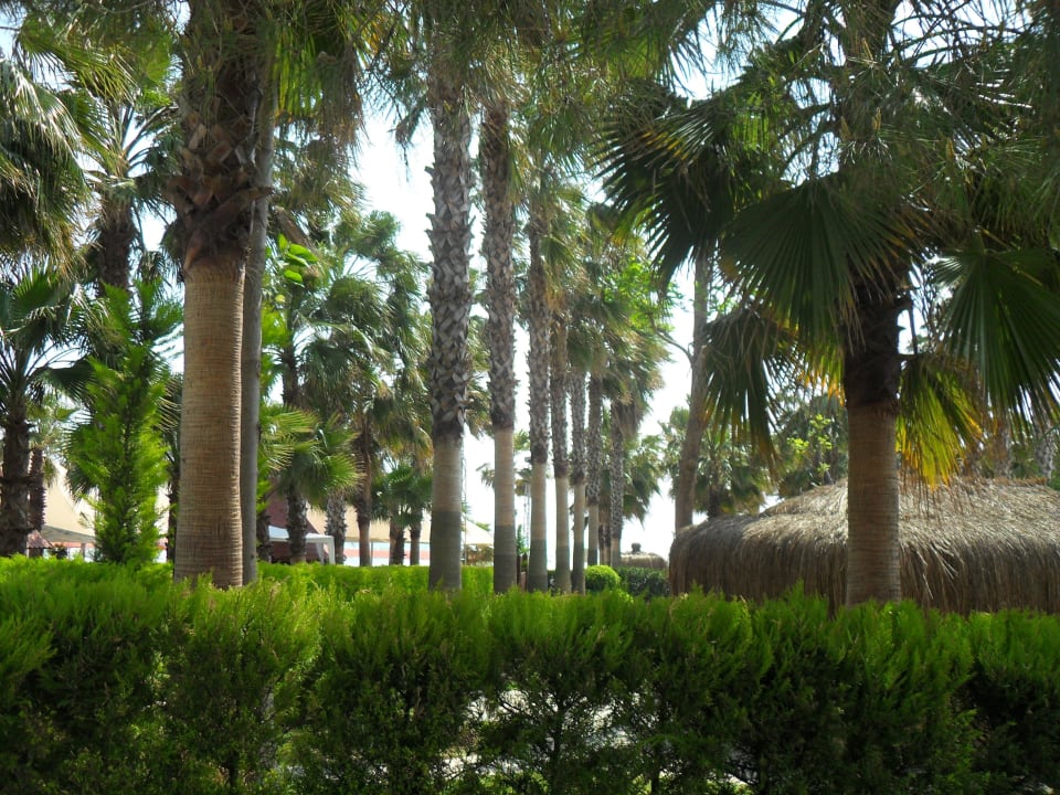 Der Weg vom Hotel zum Strand Hotel Miramare Beach