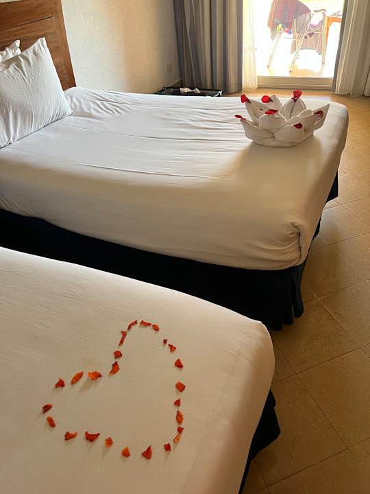 Zimmer Stella Garden Resort & Spa, Makadi Bay