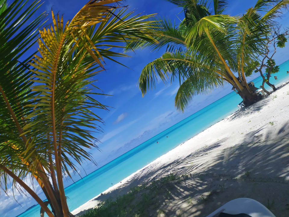 Strand Meeru Maldives Resort Island