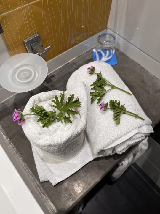 Zimmer One Resort Aqua Park & Spa