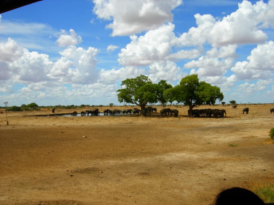 Gartenanlage Satao Camp