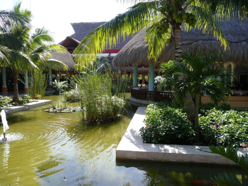 Hauptrestaurant Iberostar Waves Paraiso del Mar