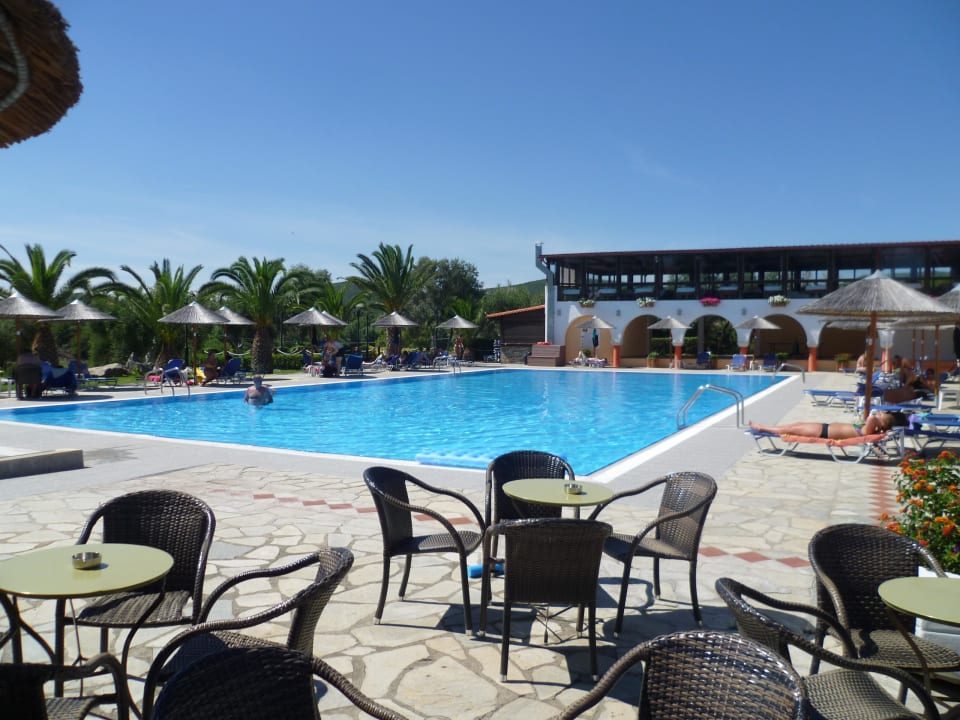 Pool Blue Dolphin Resort Hotel