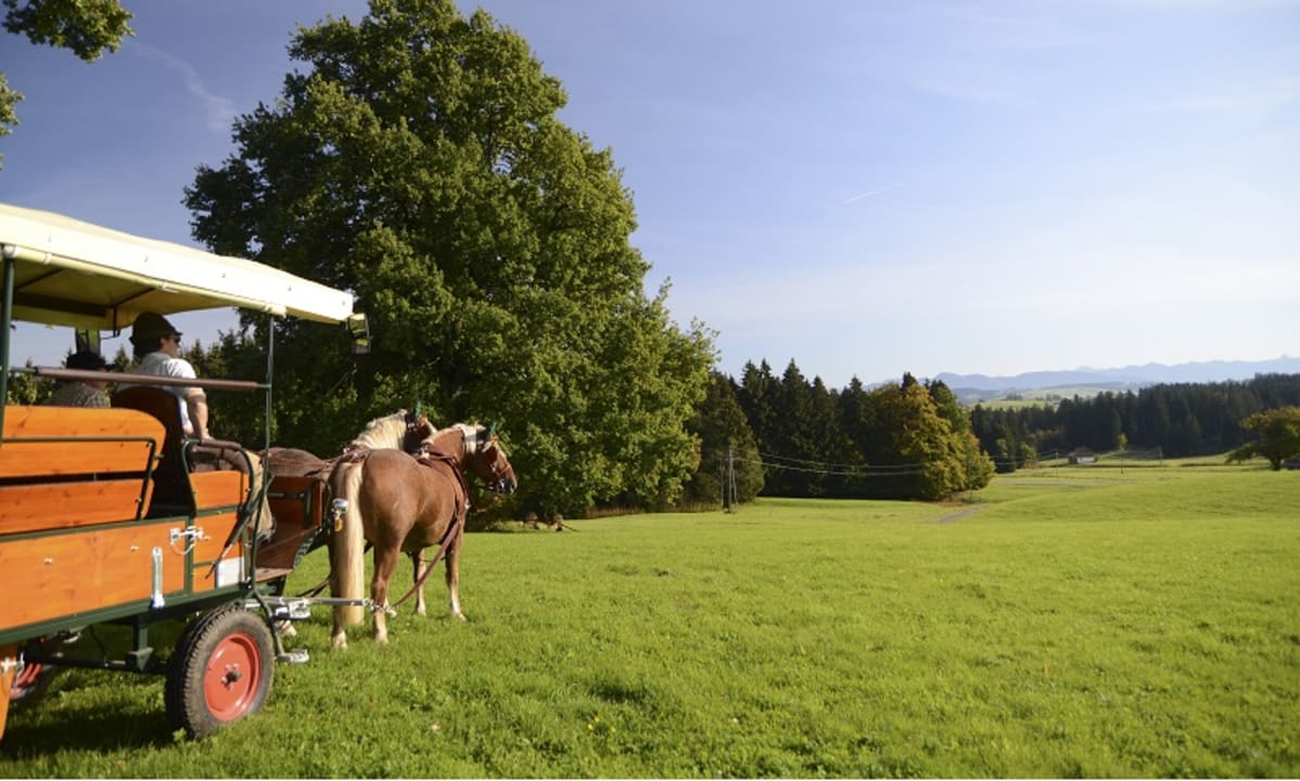 Sonstiges Hofgut Ratzenberg