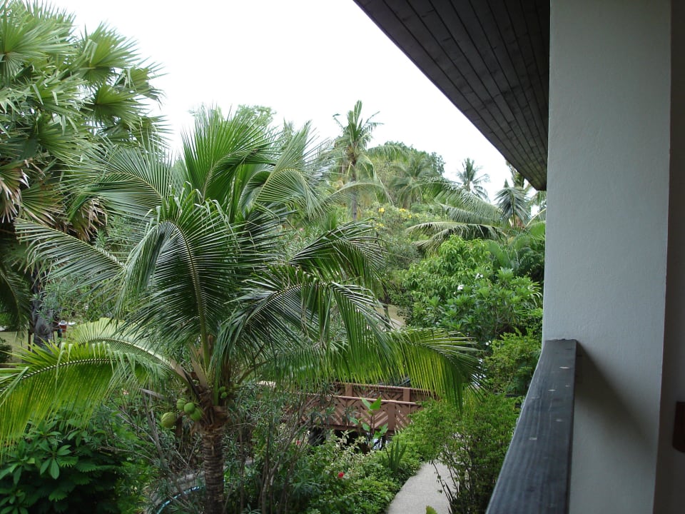 Vom Zimmer in den Garten Bandara Resort & Spa Samui